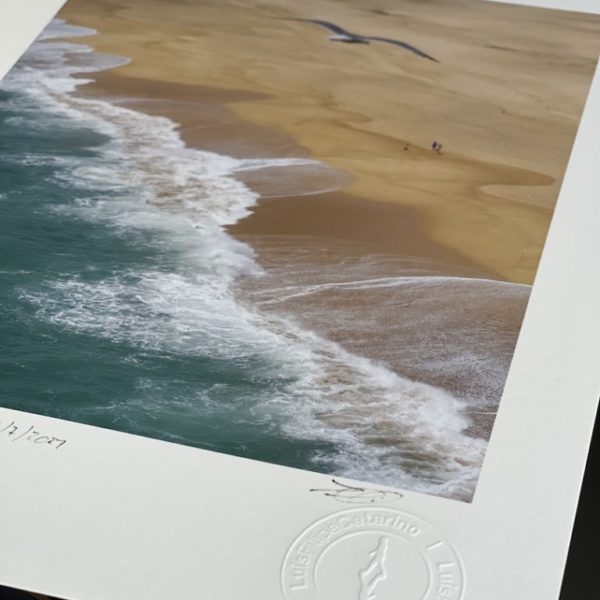 A seagull flies over North Beach in Nazaré, Portugal