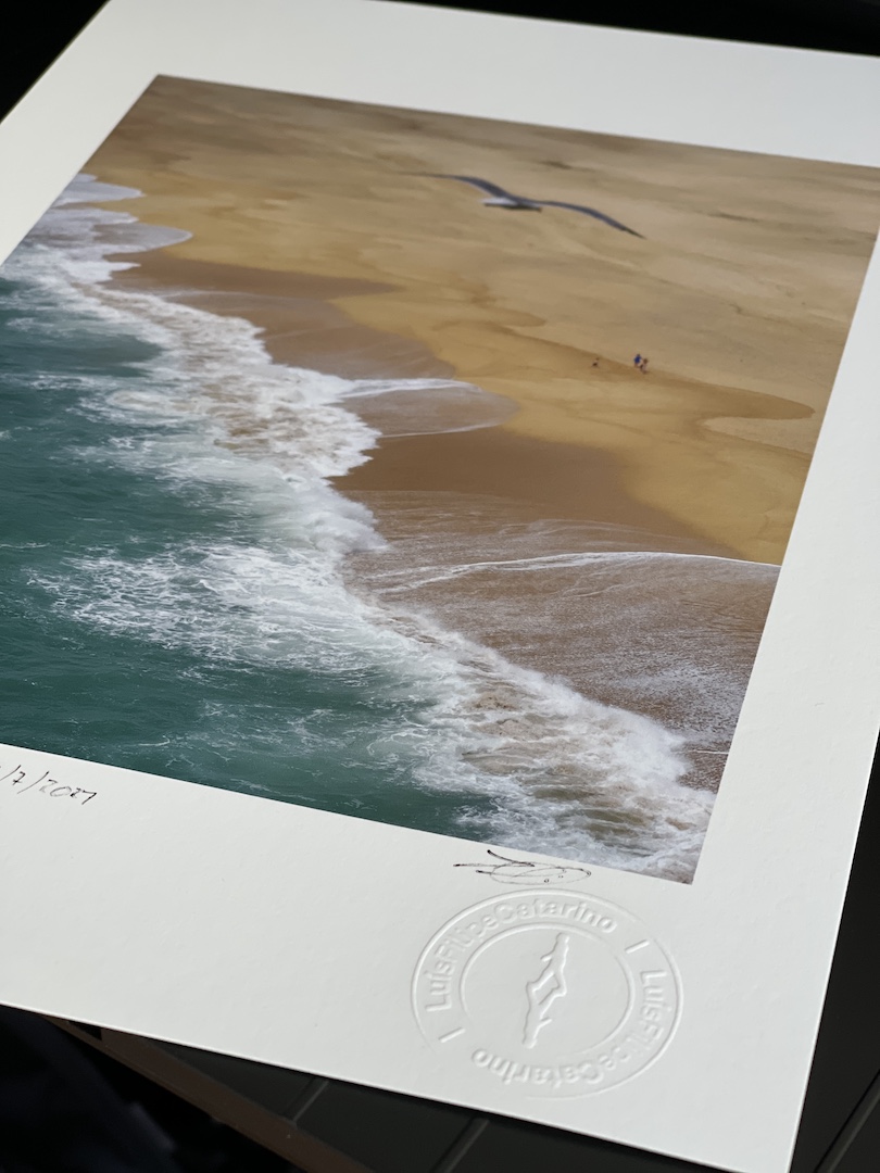 A seagull flies over North Beach in Nazaré, Portugal